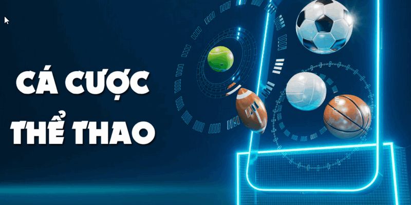 Đặt cược dựa trên chu kỳ thi đấu của đội bóng