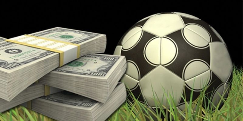 Tiêu Chí Chọn Trang Cá Cược Bóng Đá Hot Nhất 2024