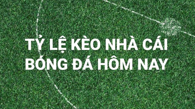 Chiến lược cá độ nhận thưởng đậm
